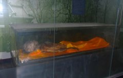 黄拙吾真实身份是顺治真的假的，黄拙吾的功绩有哪些？