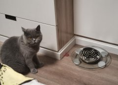 宝宝闻蚊香有什么危害，新生儿闻蚊香会怎么样？