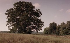 黑眼圈是业障重的表现吗，业障重的人开心不起来