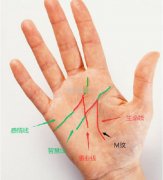 手上的事业线是从上往下看么，事业线交叉混乱说明什么？