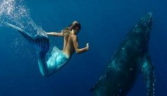 传说中的美人鱼也有男性 古籍记载多有丑陋者