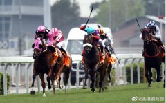 为什么马一直跑不会累，马一次跑多远需要休息？