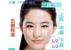 鼻子风水怎么看财运图，几种富贵鼻子的图片分享