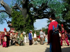 山西洪洞县大槐树多少岁了？到大槐树后怎么查找家谱